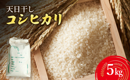 天日干し コシヒカリ 5kg 米 お米 精米 白米 兵庫県 洲本市 淡路島