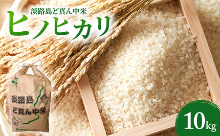 令和７年度産  淡路島 ど真ん中米 ヒノヒカリ 10kg 米 精米 精白米 鮎原米 兵庫県 洲本市 淡路島