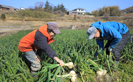 淡路島産 新玉ねぎ 5kg うしろ農園 極早生 玉ねぎ 玉葱 タマネギ 甘い 野菜 兵庫県 洲本市 淡路島