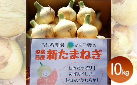 淡路島産 新玉ねぎ 10kg うしろ農園 極早生 玉ねぎ 玉葱 タマネギ 甘い 野菜 兵庫県 洲本市 淡路島