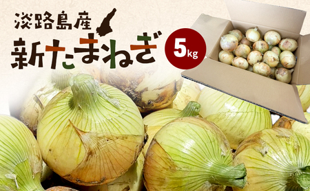 淡路島産 新たまねぎ 5kg 新玉ねぎ 玉ねぎ 玉葱 タマネギ 甘い 兵庫県 洲本市 淡路島