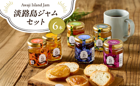 淡路島ジャムセット 100g×6本セット 詰め合せ ジャム いちじく なるとオレンジ びわ みかん ブルーベリー レモン 兵庫県 洲本市 淡路島