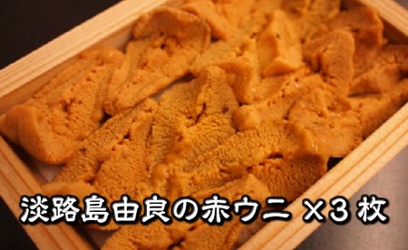 B135◇淡路島由良の赤ウニ3枚
