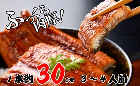 冷凍 うなぎ 蒲焼