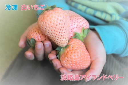 EC04◇淡路島産 白いちご『淡雪』 冷凍 形不揃い1kg