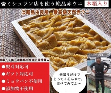 AU88◇【2022年7月~9月配送】ミシュラン店も使う淡路島由良産赤ウニ【木箱入り最高級1枚】ミョウバン不使用完全無添加