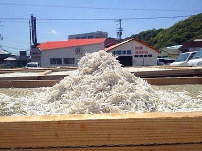 AR08◇淡路島 中原水産の「天日干しちりめんじゃこ」500g