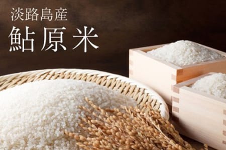 FF13:令和3年産 鮎原米 10kg【淡路島のブランド米】