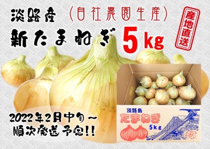 FK05◇淡路産新たまねぎ 5kg