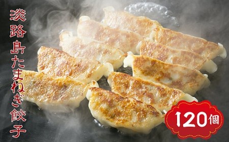 CZ25◇淡路島たまねぎたっぷりジューシー餃子120個