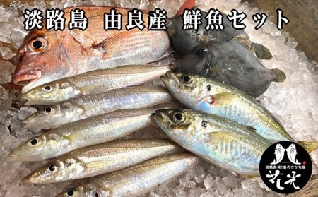 B001◇由良漁港の鮮魚セット