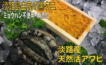 B065 磯の最高級コンビ 淡路島由良の黒ウニと淡路産天然活アワビ 黒 兵庫県洲本市 ふるさと納税サイト ふるなび