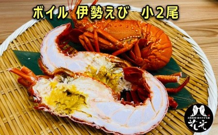 B029◇淡路産「天然」いせえび(ボイル)