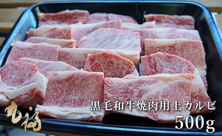 BG02◇淡路和牛焼肉 上カルビ 500g