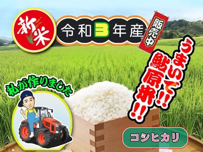 BH10:【令和3年産新米】淡路島 鮎原米 コシヒカリ 5kg