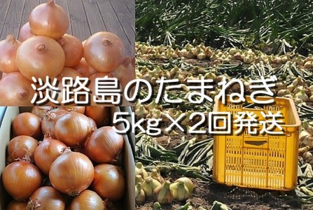 H033◇淡路島産 中晩生たまねぎ10kg(5kg×2回発送)