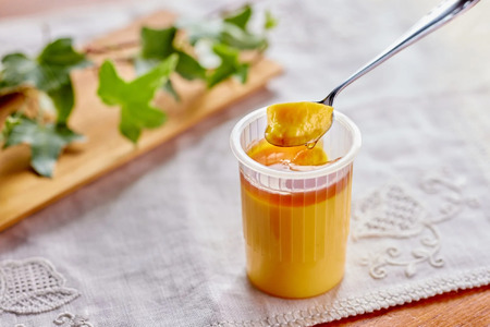 ★TV番組で紹介されました★カラダ思いの冷凍プリン 10個 セット【ひみつのひとさじ】冷凍ぷりん プリン ぷりん PUDDING スイーツ デザート おやつ お菓子 洋菓子 なめらか ミルク お取り寄せ オーガニック 低カロリー カラメル 贈り物 ギフト