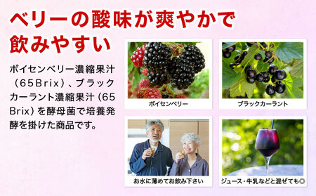 ボイセン＆ブラックカーラント富元酵素 1000ml【064-a001】健康食品 飲料 水飲料 飲み物 新商品 濃縮果汁 酵母菌 ぶどう糖 ジュース 牛乳 乳酸菌