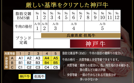  神戸牛 焼肉 王道セット（ランプ ・ マル ・ バラ）400g【あしや竹園】| 牛肉 食べ比べ ギフト 贈答用 お肉 肉 黒毛和牛 赤身 霜降り 美味しい バーベキュー 焼肉 やきにく 芦屋市 兵庫県 芦屋