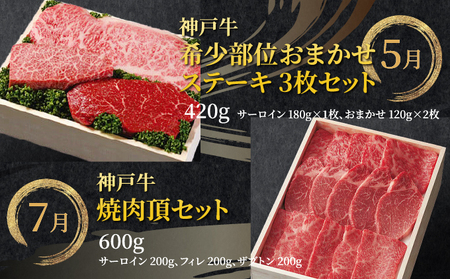  定期便 神戸牛 食べ比べBコース（6回お届け）肉 牛肉 すき焼き しゃぶしゃぶ 焼肉 ステーキ サーロイン モモ スライス 希少部位 定期便 但馬牛 神戸ビーフ 食べ比べ 黒毛和牛 赤身 霜降り 贈答 ギフト お祝い 兵庫県 芦屋市 芦屋 054-a030