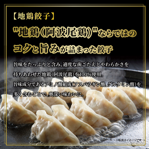 芦屋 伊東屋謹製「黒豚餃子・地鶏餃子」各1折セット (たれ付)【ぎょうざ ギョーザ 中華 点心 惣菜 簡単 おうち おかず おつまみ 鹿児島産 豚肉 国産豚肉 鶏肉 地鶏 もちもち皮 ジューシー 肉汁 冷凍 食べ比べ イトー屋 お取り寄せ ギフト お中元 お歳暮