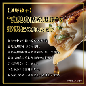 芦屋 伊東屋謹製「黒豚餃子・地鶏餃子」各1折セット (たれ付)【ぎょうざ ギョーザ 中華 点心 惣菜 簡単 おうち おかず おつまみ 鹿児島産 豚肉 国産豚肉 鶏肉 地鶏 もちもち皮 ジューシー 肉汁 冷凍 食べ比べ イトー屋 お取り寄せ ギフト お中元 お歳暮