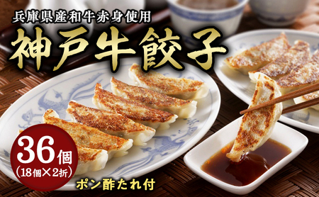 神戸牛餃子 2折セット【冷凍 ぎょうざ ギョウザ 中華 点心 惣菜 ギフト お中元 お歳暮】 熨斗：お中元