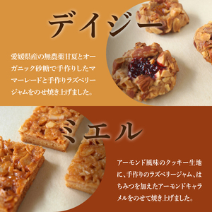 クッキー8種 [お菓子 焼菓子 詰合せ 手作り ハンドメイド ギフト 化粧箱 新鮮 安心 美味しい 国内産 添加物 アイスボックス ごあ 有機 宇治 抹茶 きなこ 黒ごま 甘夏 バーム油 バター 卵 ]