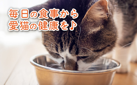 フルオーガニックキャットフード＆おやつ3袋 / お試しセット｜ペットフード キャットフード 猫用 猫 ごはん 天然素材 小麦粉不使用 グルテンフリー ビタミン 安心 安全 保存料無添加 フルオーガニック オーガニック  017-a010_A