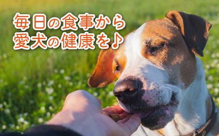 フルオーガニックドッグフード / 500g入 6袋セット｜ペットフード ドッグフード 犬用 愛犬用 ごはん 天然素材 小麦粉不使用 グルテンフリー ビタミン 安心 安全 保存料無添加 フルオーガニック オーガニック 017-a013_A