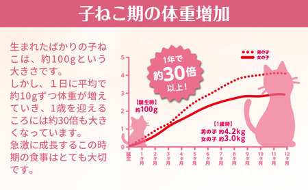 銀のスプーン三ツ星グルメ 香るお魚仕立て健康に育つ子ねこ用 お魚レシピ 240g×7箱 ペットフード キャットフード 猫のごはん 猫用フード 猫 ペット 小分け 個包装 ドライ ユニ・チャーム ペット ユニ・ケアー