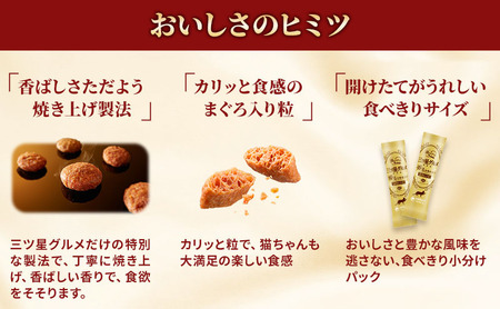 銀のスプーン三ツ星グルメ 香るお魚仕立て毛玉ケア お魚レシピ 240g×7箱 ペットフード