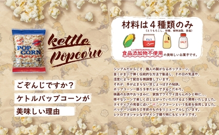 デイリー ケトルパップコーン シュガー＆ソルト味 60g×24袋［ポップコーン,映画］ お菓子 スナック あまじょっぱい パーティー バーベキュー BBQ ボリューム満点 