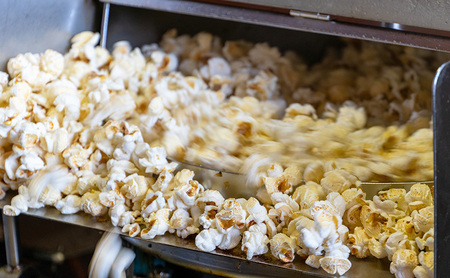 デイリー ケトルパップコーン シュガー＆ソルト味 60g×24袋［ポップコーン,映画］ お菓子 スナック あまじょっぱい パーティー バーベキュー BBQ ボリューム満点 