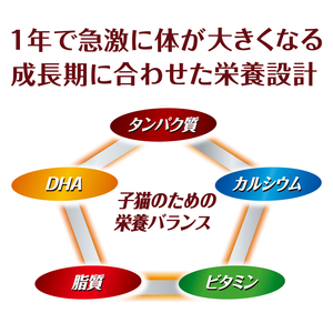 AllWell 健康に育つ子猫用 フィッシュ味 1.6kg×5袋 ペットフード