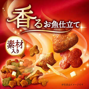 銀のスプーン 三ツ星グルメ 香るお魚仕立て 素材入り セット ペットフード