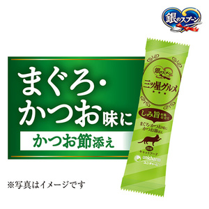 銀のスプーン 三ツ星グルメ しみ旨 お魚仕立て まぐろ・かつお味にかつお節添え 192g×14箱