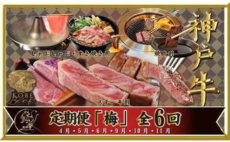 神戸ビーフ IT-「梅」 定期便 「梅」コース(4月～6月・9月～11月お届け) しゃぶしゃぶ すき焼き 焼肉 BBQ ステーキ 神戸牛 食べ比べ 太田家 牛肉 肉 冷凍 神戸肉 兵庫県 伊丹市