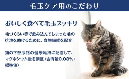 銀のスプーン三ツ星グルメ 香るお魚仕立て毛玉ケア4種のアソートお魚レシピ 200g×14箱