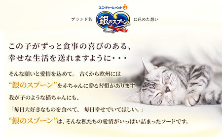 銀のスプーン三ツ星グルメ お魚クリームまぐろ・鶏ささみ味 180g×12箱 ペットフード