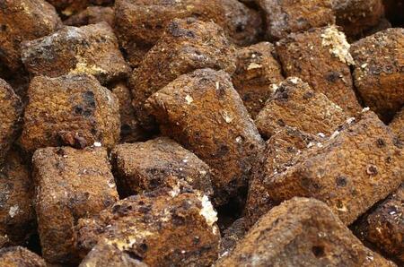 【カブトムシ・クワガタ】深山農園の しいたけ廃菌床 14個