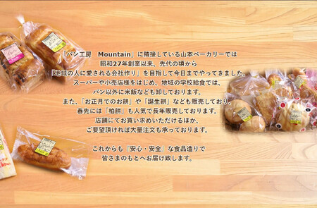 【兵庫県相生市】＜定期便６ヶ月＞パン工房Mountainおまかせセット