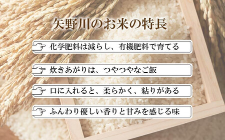 矢野川のお米 ヒノヒカリ精米10kg