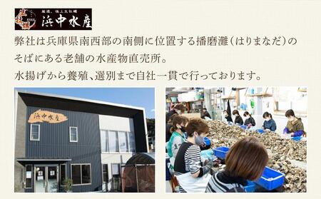 殻付き生牡蠣 2kg,むき身 生牡蠣500g【漁師直送！】｜【牡蠣・国産牡蠣・兵庫牡蠣・相生牡蠣・牡蠣・殻付き牡蠣・むき身牡蠣・生牡蠣・焼き牡蠣・牡蠣フライ・牡蠣ご飯・牡蠣めし】