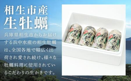 むき身 生牡蠣500gx4【漁師直送！】｜【牡蠣・国産牡蠣・兵庫牡蠣・相生牡蠣・牡蠣・むき身牡蠣・生牡蠣・焼き牡蠣・牡蠣フライ・牡蠣ご飯・牡蠣めし】