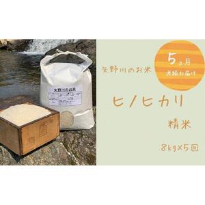 【定期便・全5回】矢野川のお米　ヒノヒカリ精米8kgｘ5回
