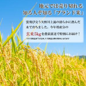 矢野川のお米　ヒノヒカリ玄米5kg
