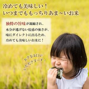 矢野川のお米 ヒノヒカリ精米4kg