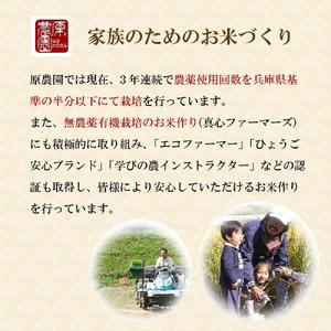 矢野川のお米 ヒノヒカリ精米4kg