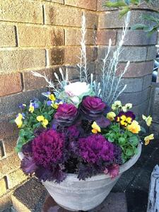 相生から季節のお花の寄植